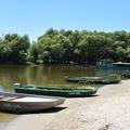 Canoe Tour Kopački Rit