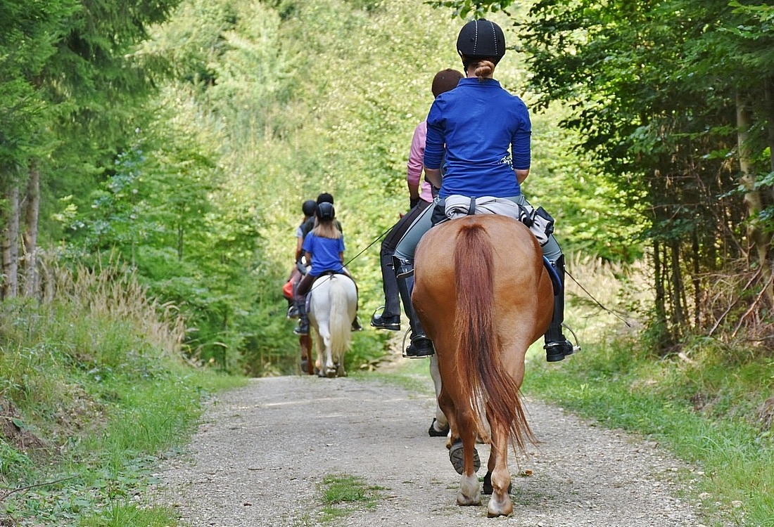 Istria Mindfulness Retreat with Horses
