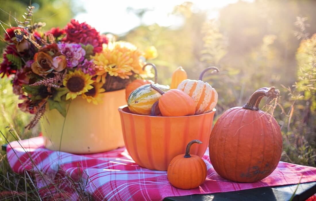Ivanić Grad Pumpkin Festival 2026